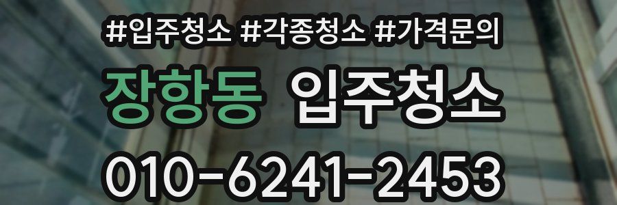 장항동 이사청소