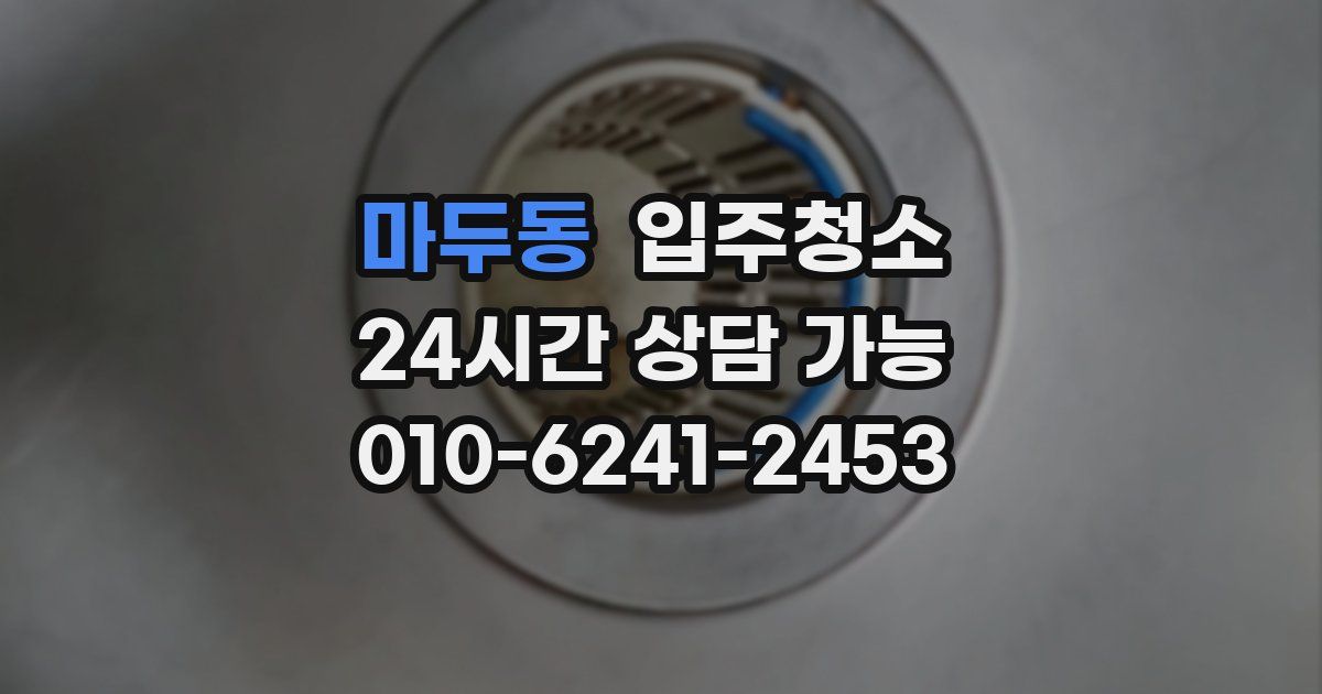 마두동 입주청소
