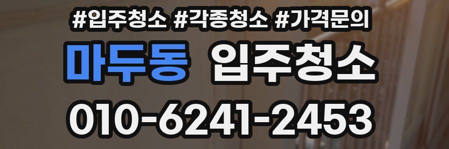 마두동 이사청소