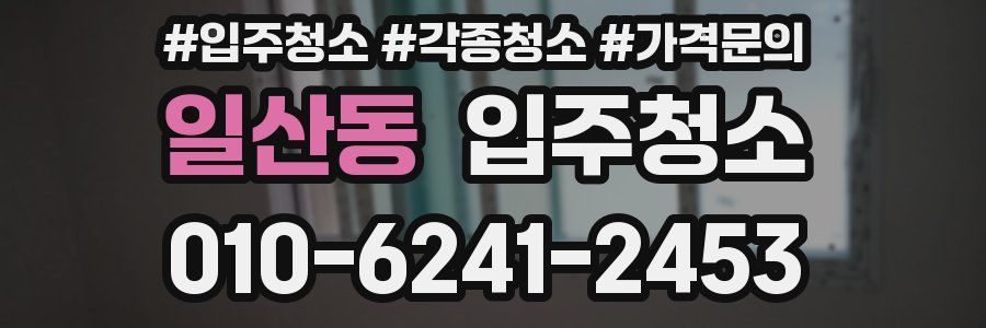 일산동 이사청소