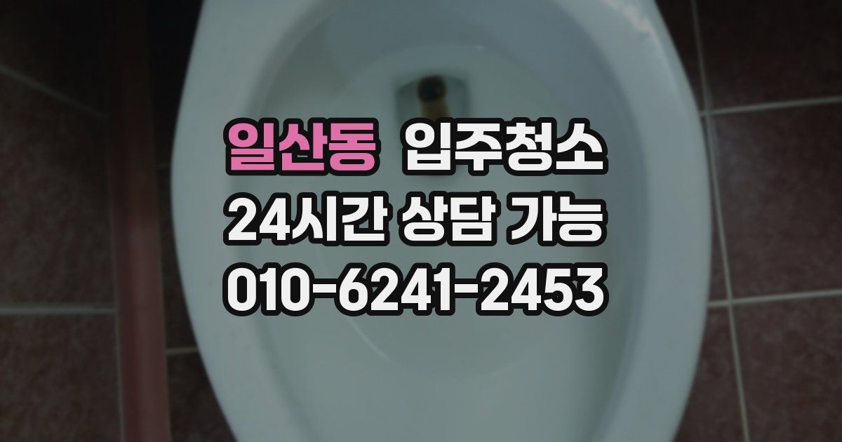 일산동 입주청소