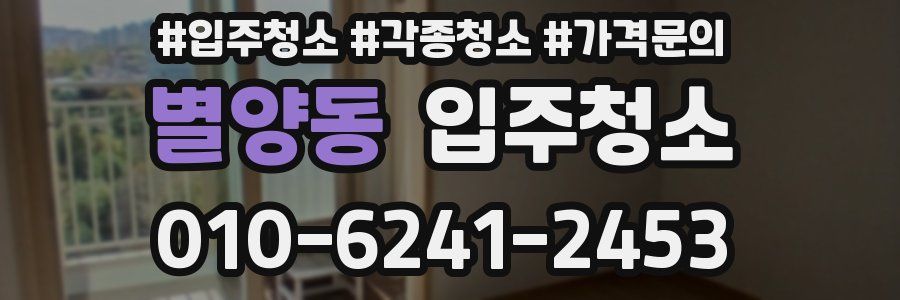 별양동 이사청소