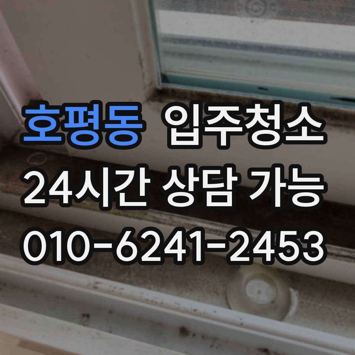 호평동 원룸청소