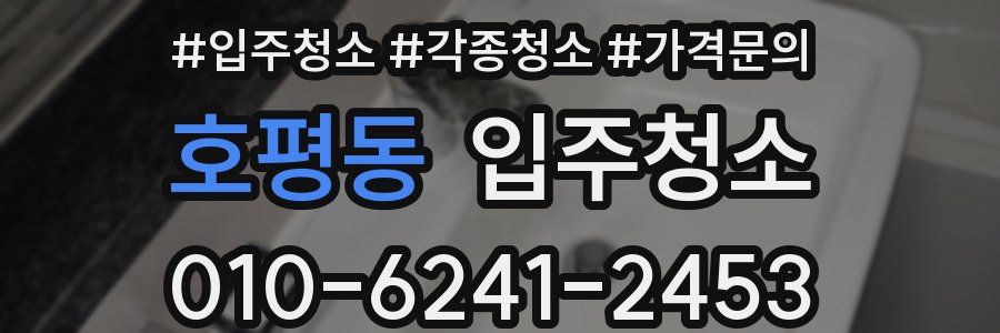 호평동 이사청소