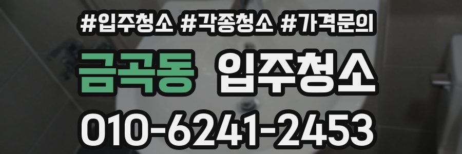 금곡동 이사청소