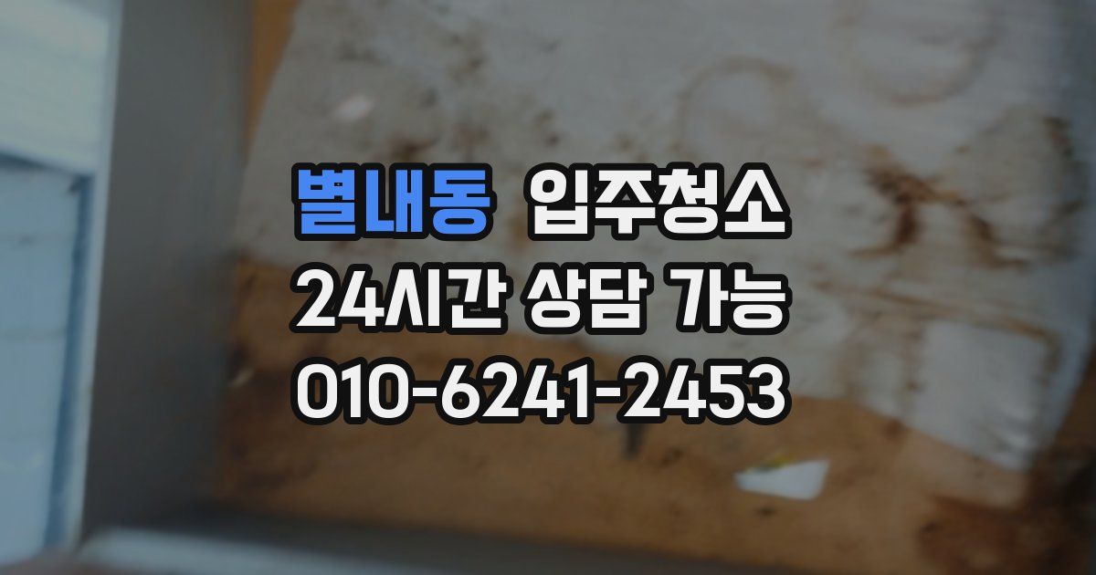 별내동 입주청소