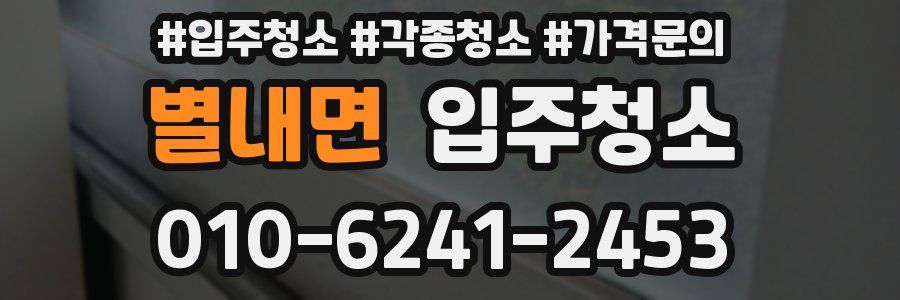 별내면 이사청소