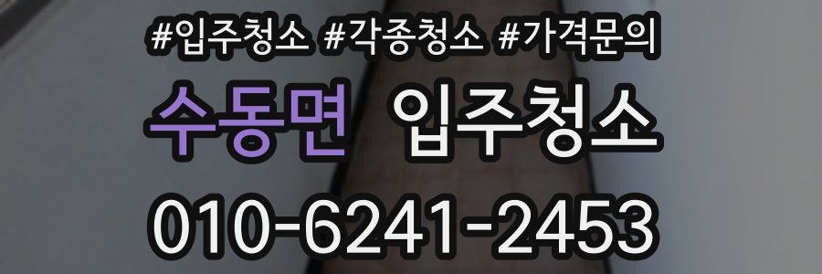 수동면 이사청소