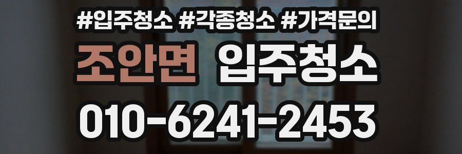 조안면 이사청소