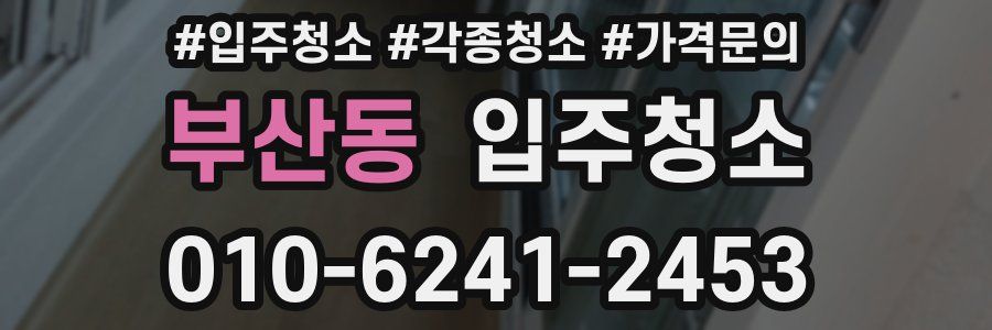 부산동 이사청소