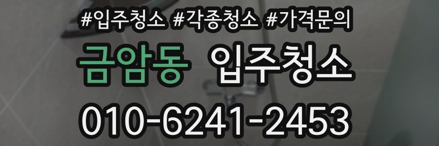 금암동 이사청소