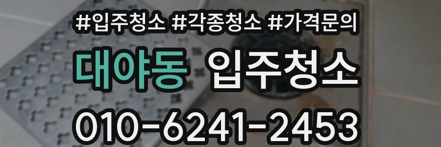 대야동 이사청소