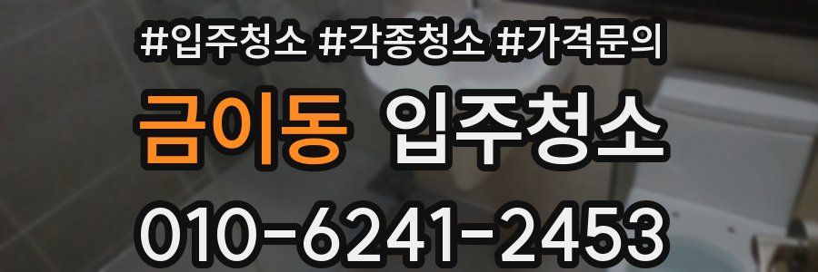 금이동 이사청소