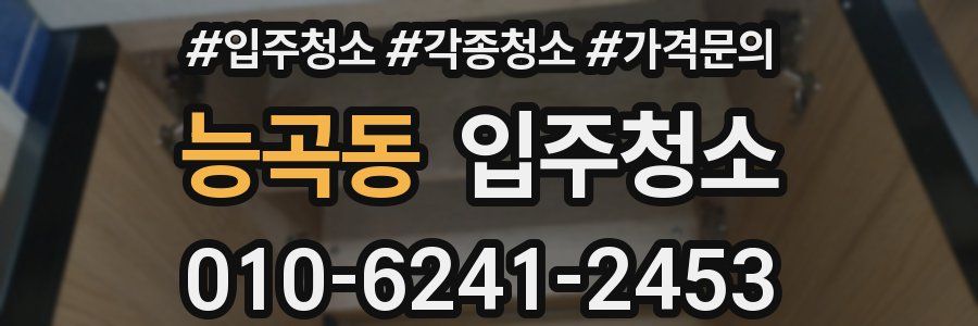 능곡동 이사청소