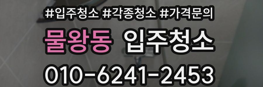 물왕동 이사청소