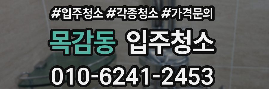 목감동 이사청소