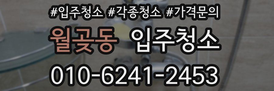 월곶동 이사청소