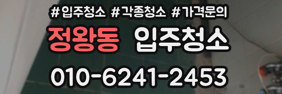 정왕동 이사청소