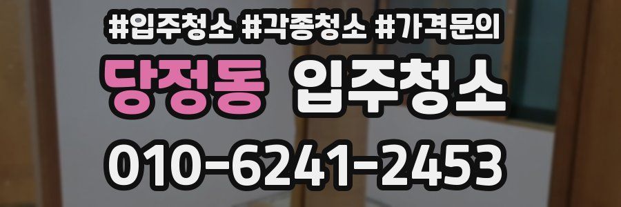 당정동 이사청소