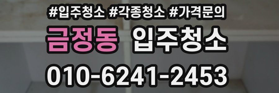 금정동 이사청소