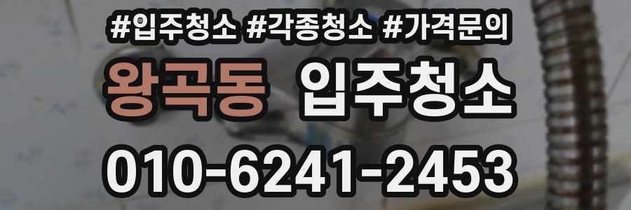 왕곡동 이사청소