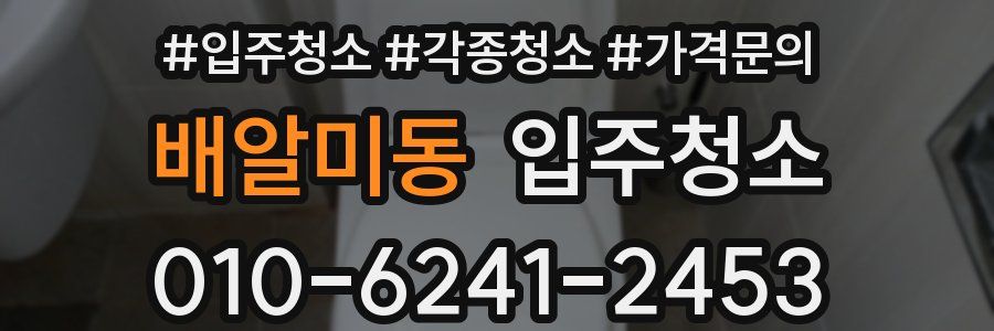 배알미동 이사청소