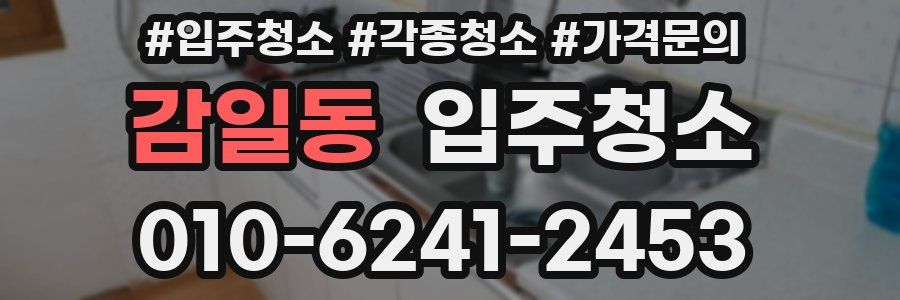 감일동 이사청소