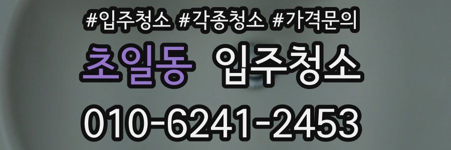 초일동 이사청소