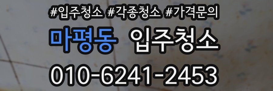 마평동 이사청소