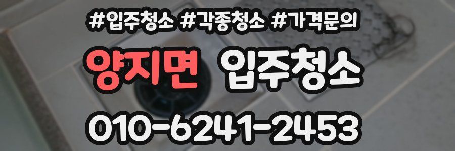 양지면 이사청소