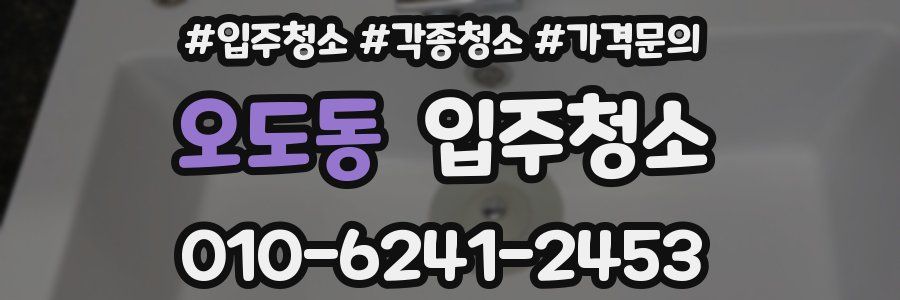 오도동 이사청소