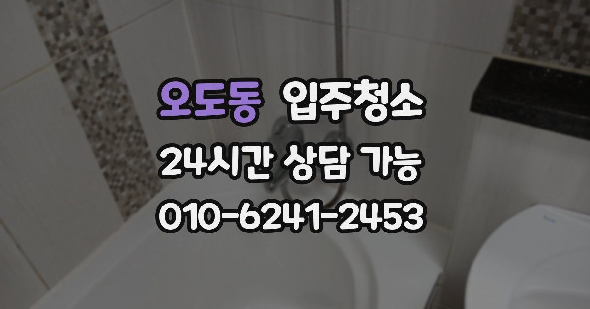 오도동 입주청소