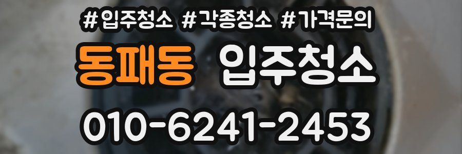 동패동 이사청소