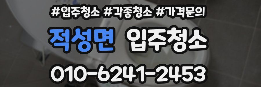 적성면 이사청소