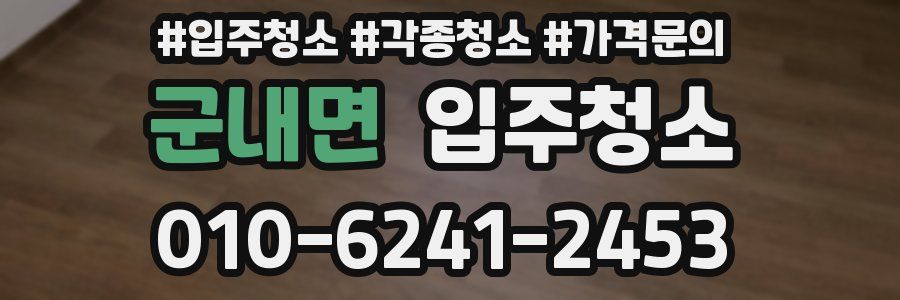 군내면 이사청소