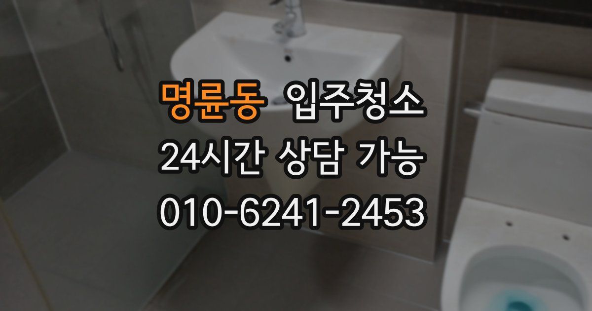 명륜동 입주청소