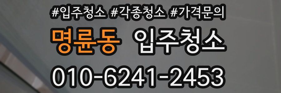 명륜동 이사청소