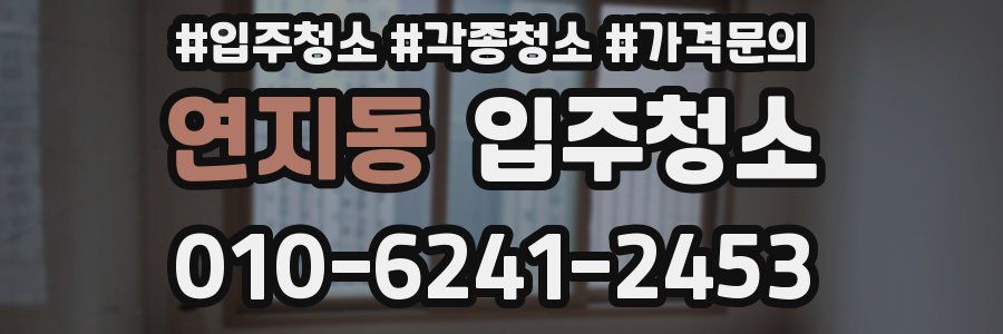 연지동 이사청소