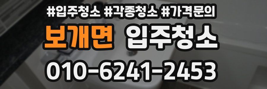 보개면 이사청소