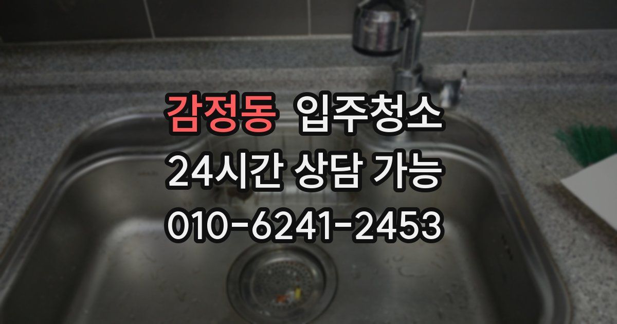 감정동 입주청소