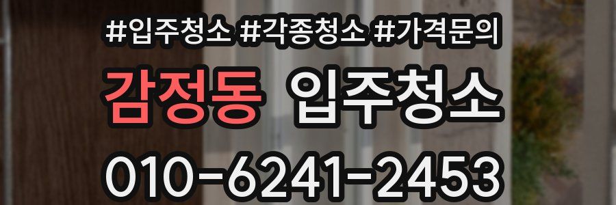 감정동 이사청소