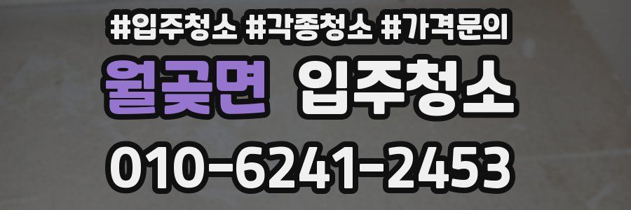 월곶면 이사청소