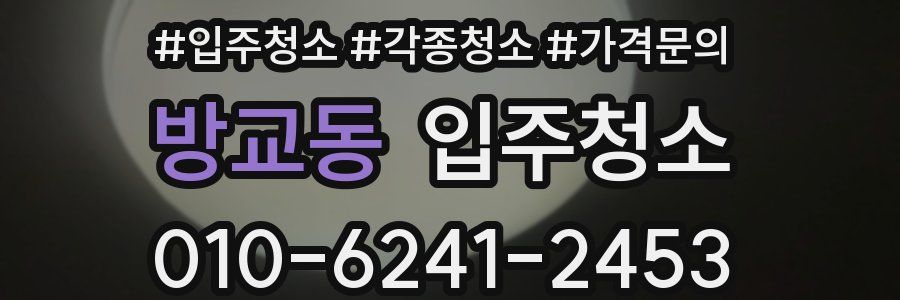 방교동 이사청소