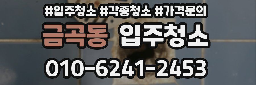 금곡동 이사청소