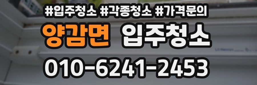 양감면 이사청소