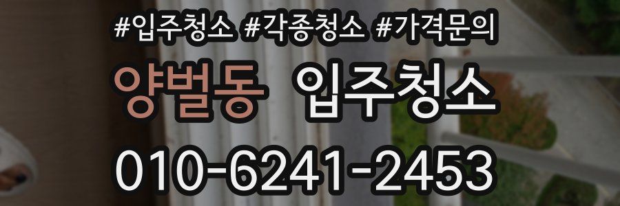 양벌동 이사청소