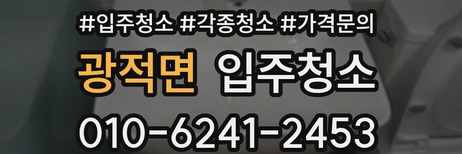 광적면 이사청소