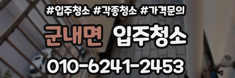 군내면 이사청소