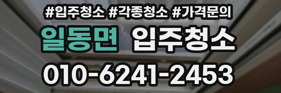일동면 이사청소