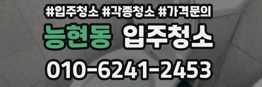 능현동 이사청소